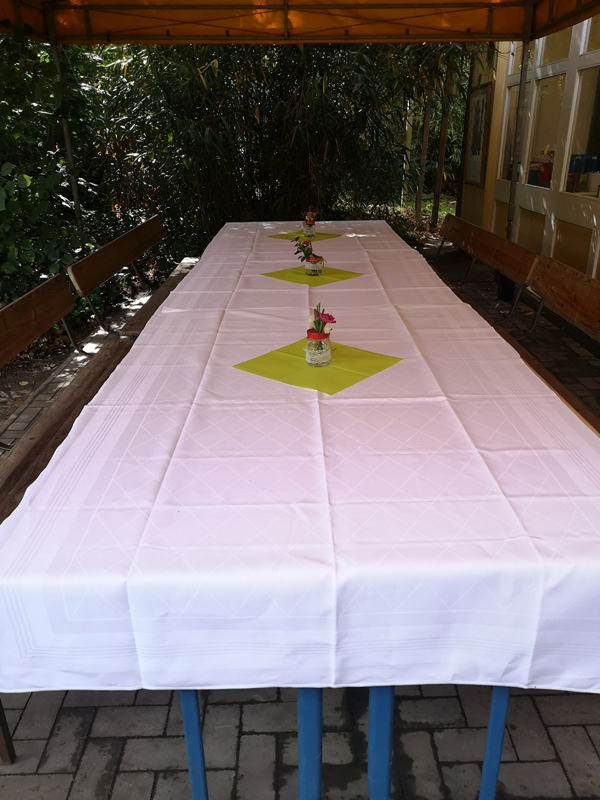 Welcome Day bei im Gartenlandschaftsbereich am RSW (18)