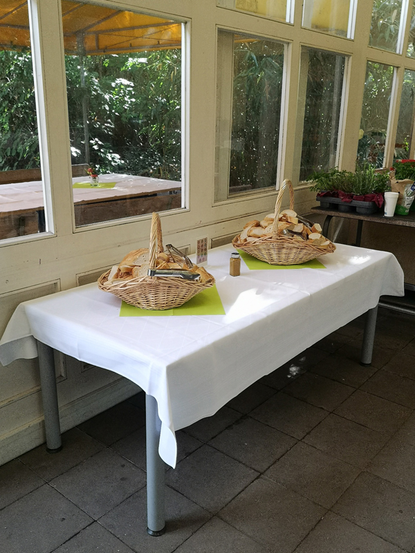 Welcome Day bei im Gartenlandschaftsbereich am RSW (21)