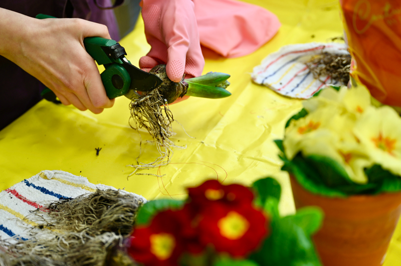 Ausbildernachmittag in der Hauswirtschaft 2026 (8)