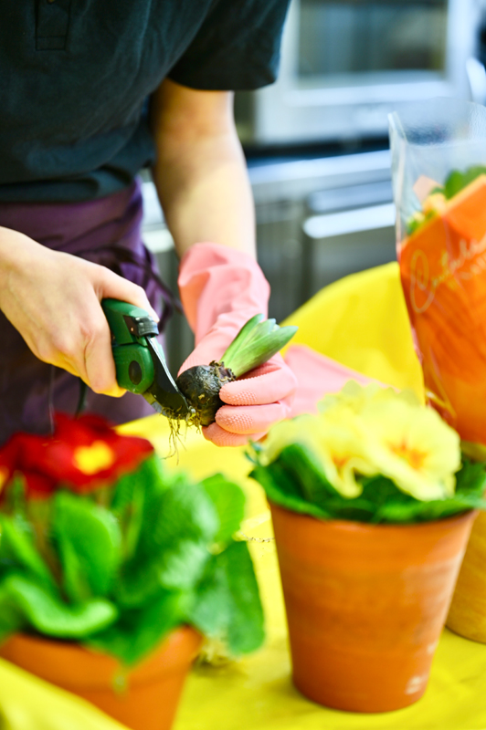 Ausbildernachmittag in der Hauswirtschaft 2026 (9)