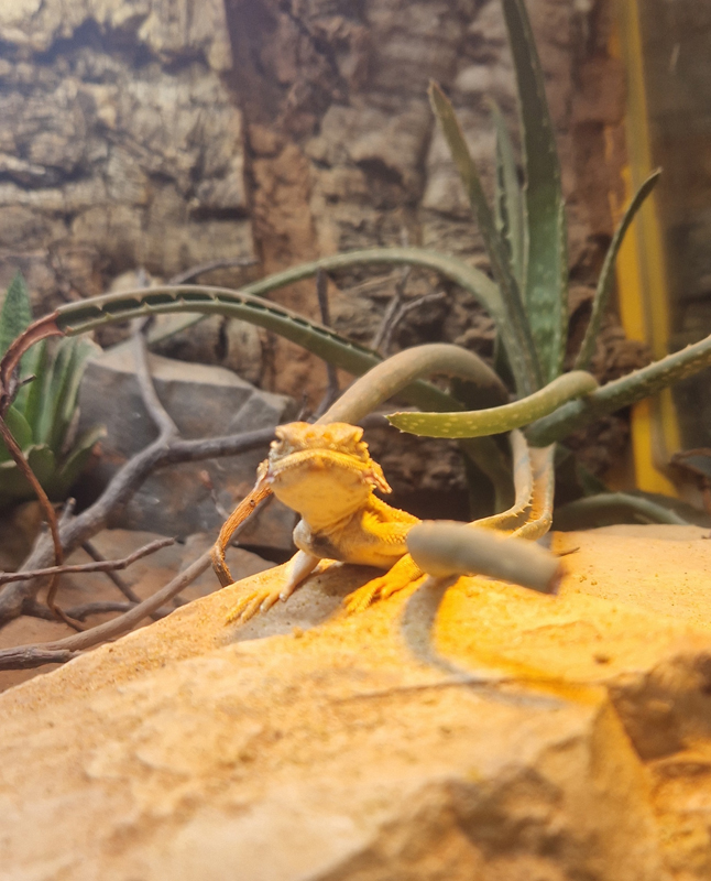 Exkursion der Tierpflege Oberstufe in den Terra Zoo (13)