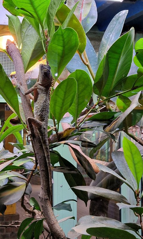 Exkursion der Tierpflege Oberstufe in den Terra Zoo (14)