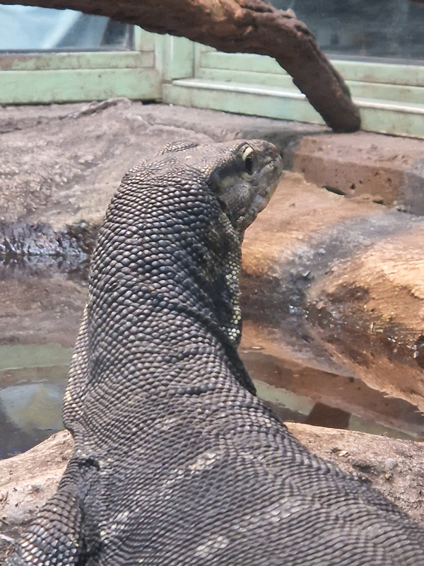 Exkursion der Tierpflege Oberstufe in den Terra Zoo (4)