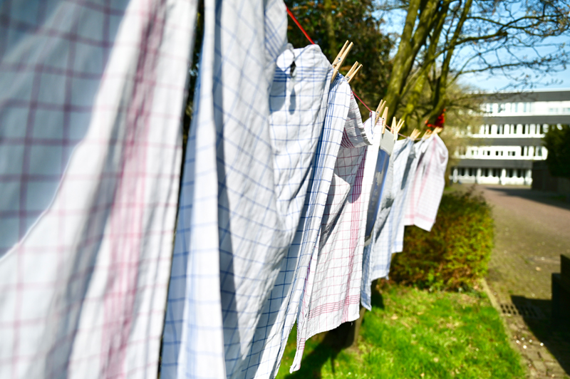 Hauswirtschaftsaktionswoche an der Elly (17)