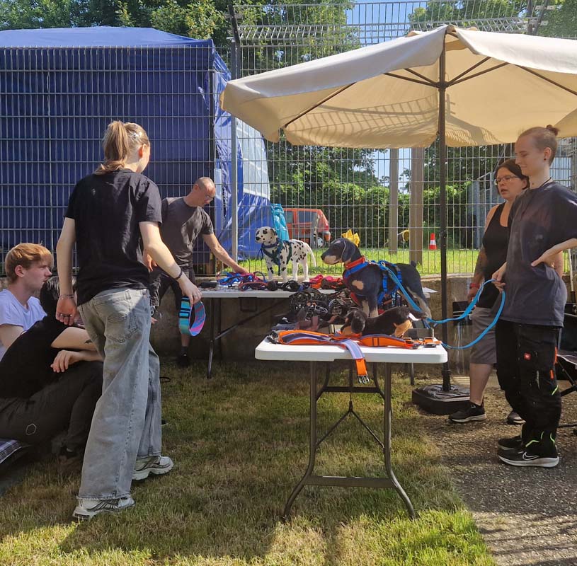 Tierpflege mit Sicherheit - Maulkorbtraining2026 (1)