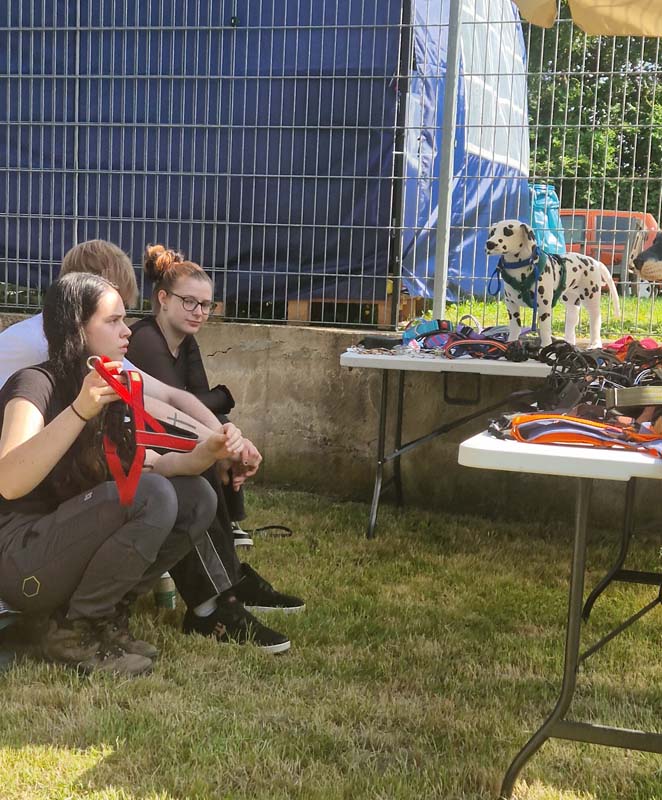 Tierpflege mit Sicherheit - Maulkorbtraining2026 (2)